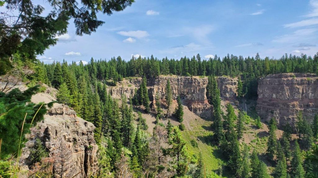 Sunlit basalt and lava shelves of Chasm Provincial Park tower above a verdant canyon of Douglas-fir and pine.