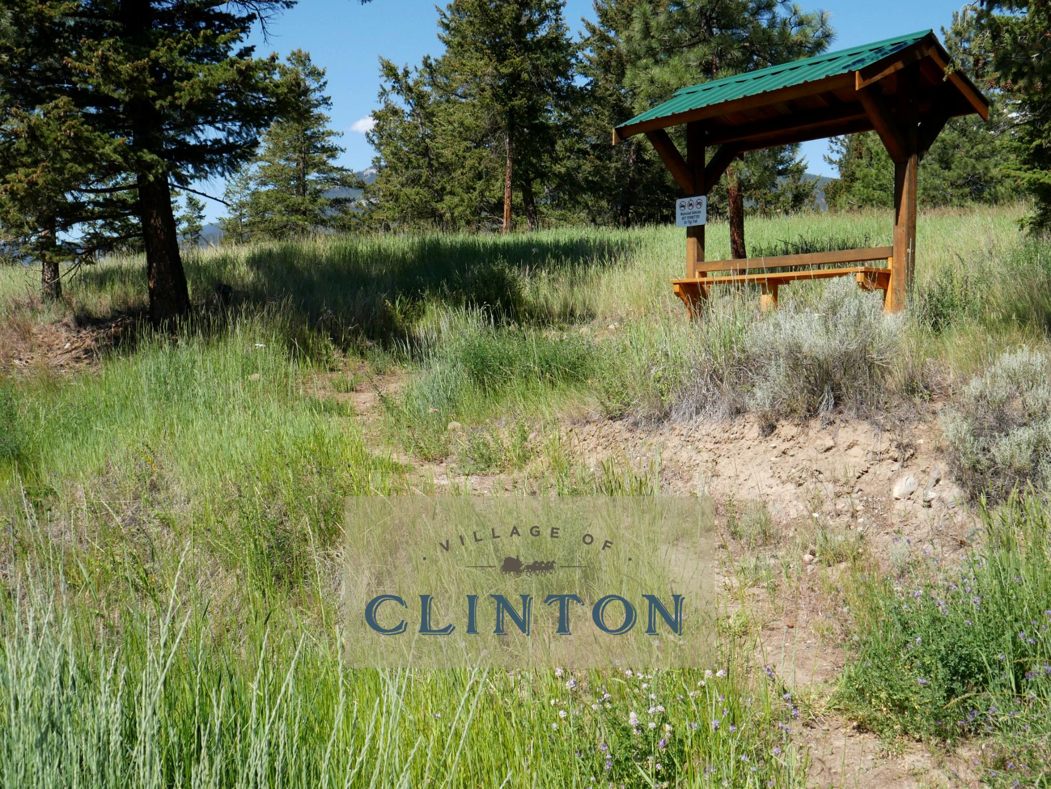 A wooden trail shelter surrounded by pine trees and tall summer grass along a scenic hiking path in Clinton, BC.